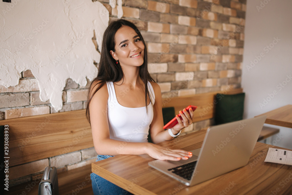 Wall mural attractive smart girl working on laptop in cafe. beautiful girl using computer for work. girl grinki