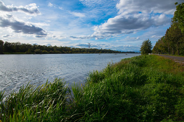 Der Rhein bei Breisach im Kaiserstuhl