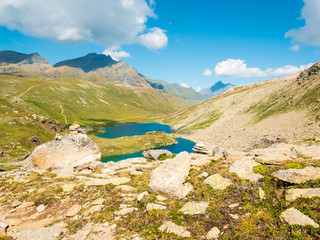 Fototapeta premium Parco Nazionale Gran Paradiso