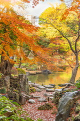 Tokyo Metropolitan Park KyuFurukawa's japanese garden's dry waterfall garden designed by Ogawa Jihei overlooking by red maple momiji leaves in autumn.