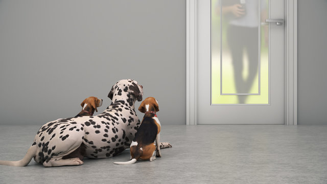 Dog Waiting By Front Door. 3d Rendering