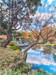 Yukimi stone lantern appearing between quilted pines in the manner of a Ukiyoe print in the Kyufurukawa Garden in Tokyo