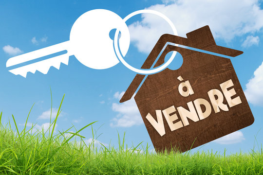 Maison &agrave; vendre, panneau en bois sur fond herbe et ciel bleu