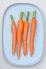 Raw fresh carrots on a light blue plate.