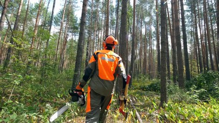 Backside view of an axeman walking among the trees