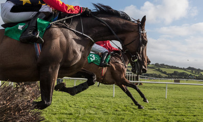 Close-up on Race horses and jockeys jumping over a hurdle
