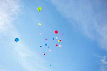 A several coloured air balloons are flying into the blue sky