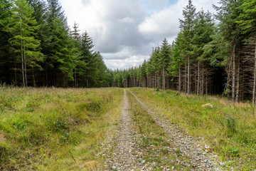 Landscape on the wicklow way.