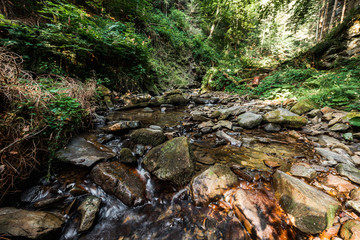 steam flowing on wet stones near green trees