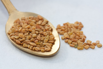 Fenugreek seeds in a spoon.