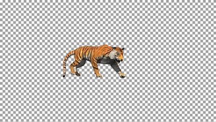 Bengal tiger walk pose  realistic with 3D animation rendering include alpha.