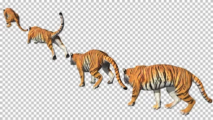 Fototapete Rund Bengal tiger pose jump animation with pose to pose by 3d rendering include work path for alpha. © FullFrames