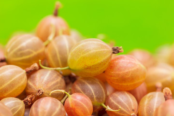 Ripe gooseberries as a background