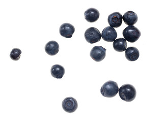 Ripe blueberries on a white background