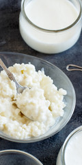 Kefir grains and  fermented drink kefir
