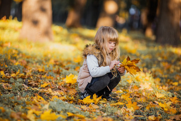 girl collects autumn leaves in the park