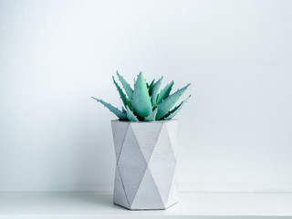 Concrete pot. Modern geometric concrete planter.