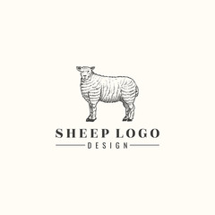 Hand drawn sheep isolated, Vector