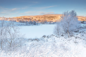 Inverness, Boblainy Forset tranquil, pink winter scene in the Scottish highlands 