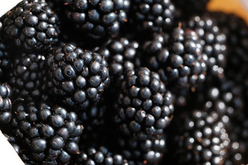 Background from fresh Blackberries, close up. 