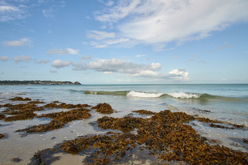 Seaweed and shore with breaking waves taken in Jersey in the Channel Isles