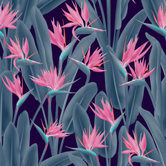 Strelitzia reginae tropischer Blumenvektor nahtloses Muster. Dschungel exotisches tropisches Pflanzenstoffdesign. Südafrikanische Pflanze tropische Blüte der Kranichblume, Strelitzia. Floraler Textildruck.