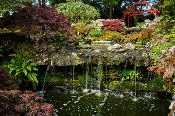 Fototapeta na wymiar Waterfall in a beautiful Japanese garden with the outline of a pagoda in the background