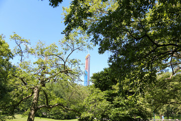 Buildings in the distance through the trees of Central Park 