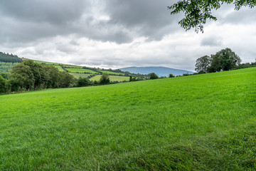 Wicklow way landscape in a cloudy day, tipical irish lanscape.