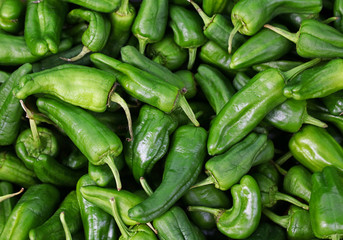 Close up fresh green padron chili peppers