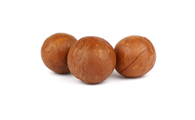 Macadamia nuts isolated on white background