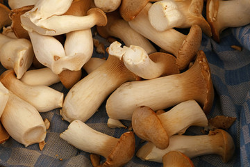 King oyster mushrooms at retail display