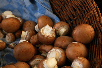 Brown champignon edible mushrooms at retail