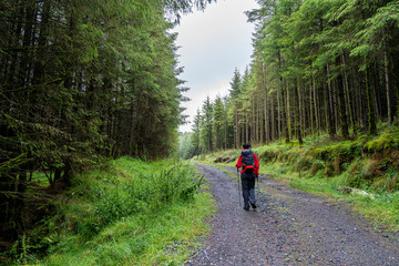 Wicklow way with a girl in the paw.