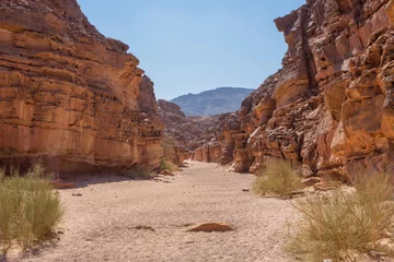 Wandaufkleber Red Sandstone Canyon in the Sinai Desert © avkost