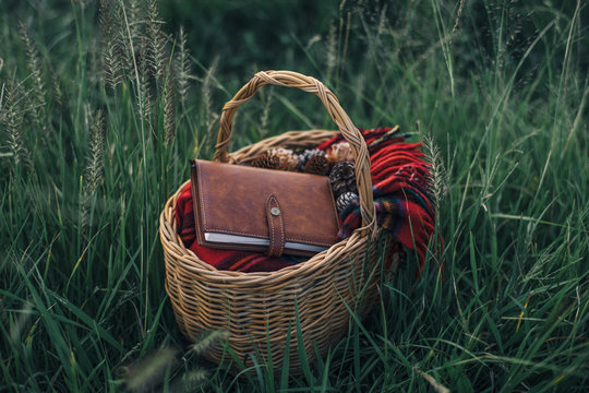 basket with book and blanket