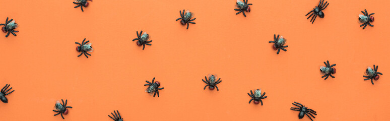 top view of scary spiders on orange background, panoramic shot