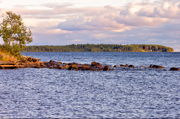 Aquatic landscape of vast body of water,coast and strip of coniferous forest on the horizon