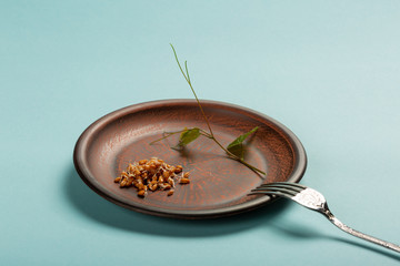 Sprouted seeds on ceramic plate with fork