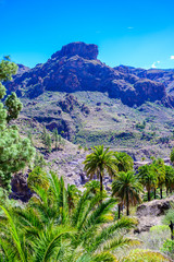 Fototapeta na wymiar Soria Valley with beautiful landscape scenery - Canarian island Gran Canaria, Spain