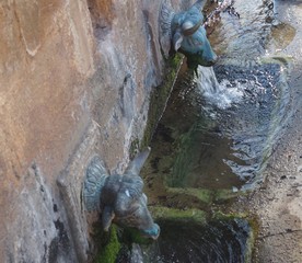 dos cabezas de bueyes con caños de agua en Benabarre, Huesca, España