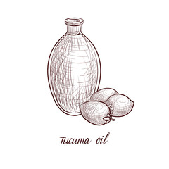 vector drawing tucuma oil
