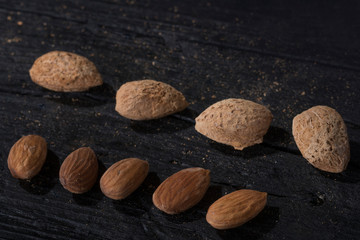 fruits and vegetables 