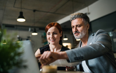 Man and woman having business meeting in a cafe, using laptop.