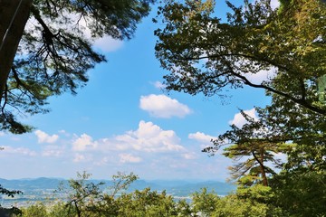 風景　秋　空　木　杤木