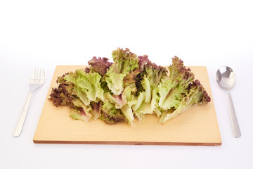 red lettuce