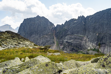 Panoramic sunny summer view in taiga forest over sayan mountains, Ergaki national park, Krasnoyarsk region, Siberia, Russia