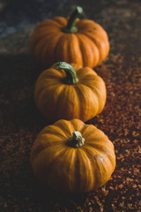 Autumn concept with seasonal orange pumpkins and maple leaves. Fall orange composition.
