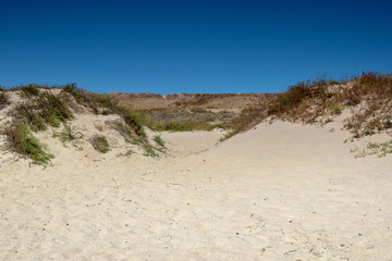 dunes on a sandy beach against a blue sky