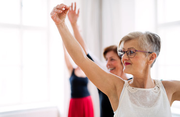Group of female seniors in dancing class with dance teacher.